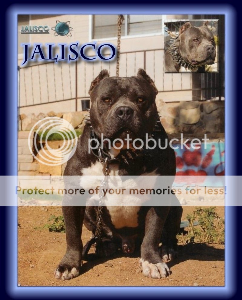 haciendas en venta en jalisco