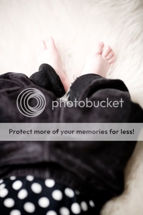 IMAGE: http://i454.photobucket.com/albums/qq261/ollihakkinen/28-05-10_elvis_pieni-70.jpg