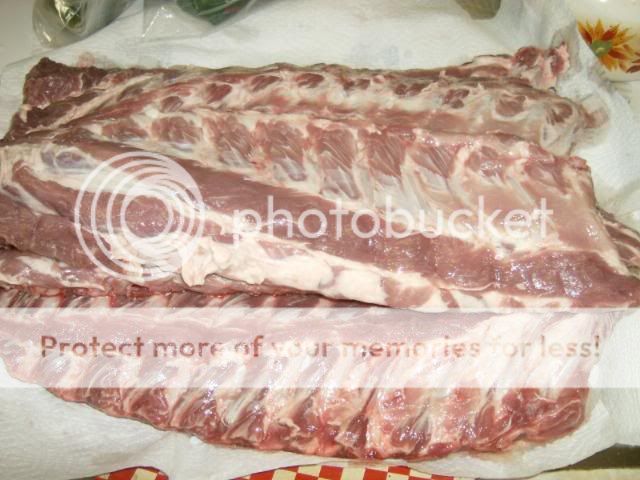 Ribs02.jpg