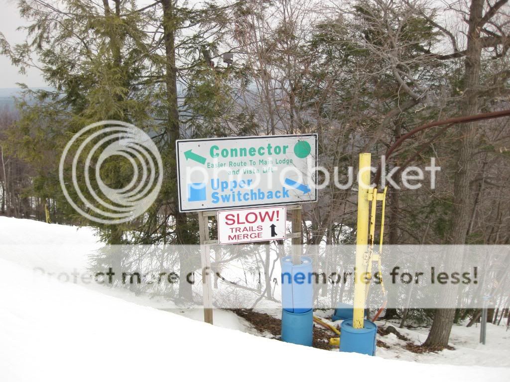 Switchback01.jpg
