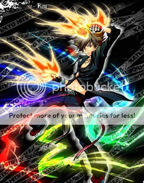 colourful tsuna Pictures, Images and Photos