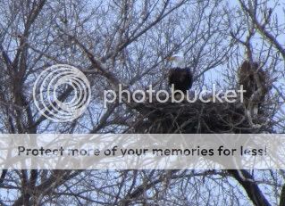 IMAGE: http://i454.photobucket.com/albums/qq266/coalcityfan/IMG_0077adj.jpg