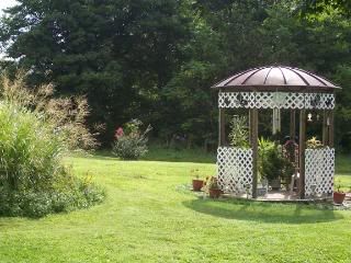 back yard