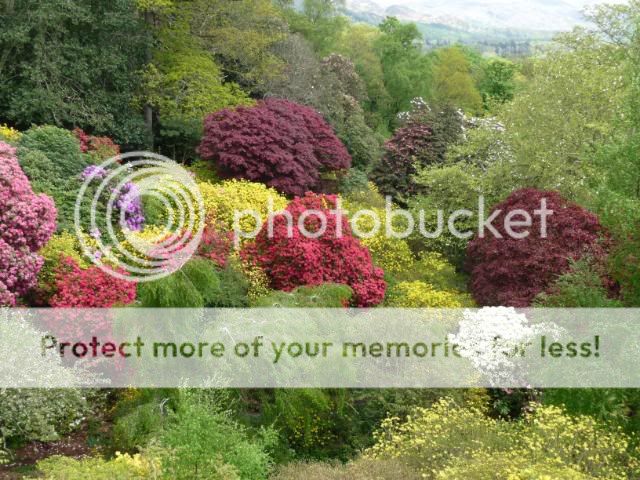 http://i454.photobucket.com/albums/qq267/joany-b/Muncaster%20Castle%20-%20May%202009/9ce2b568.jpg