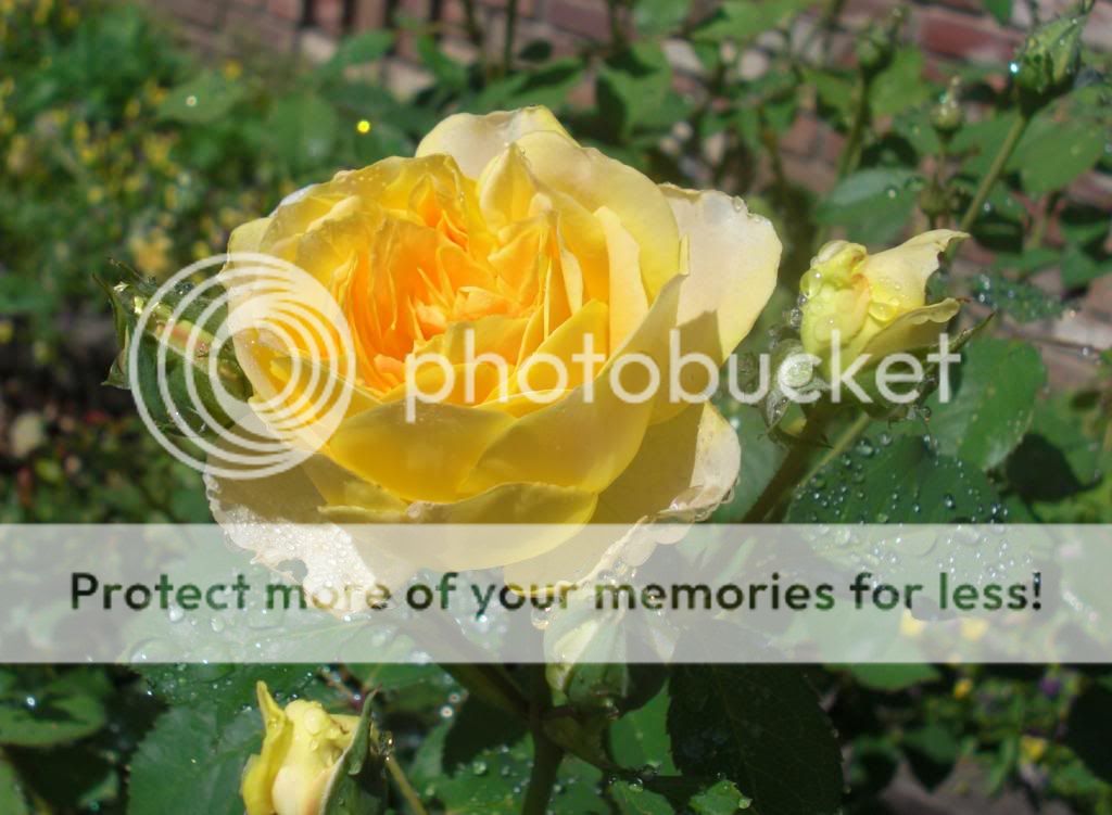  photo molineux-2.jpg