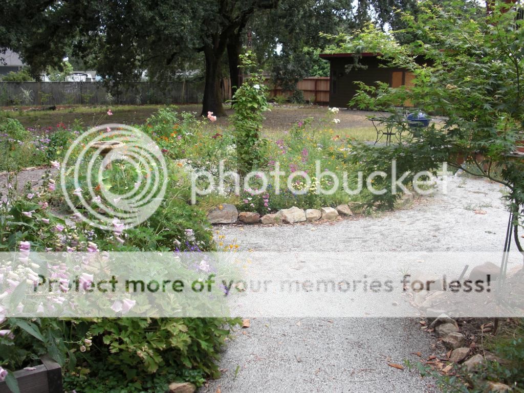  photo spiralgarden.jpg